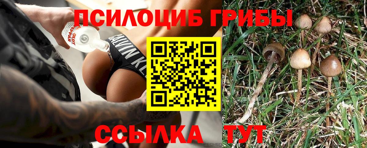 Псилоцибиновые грибы GOLDEN TEACHER  Вход с VPN  Геленджик 